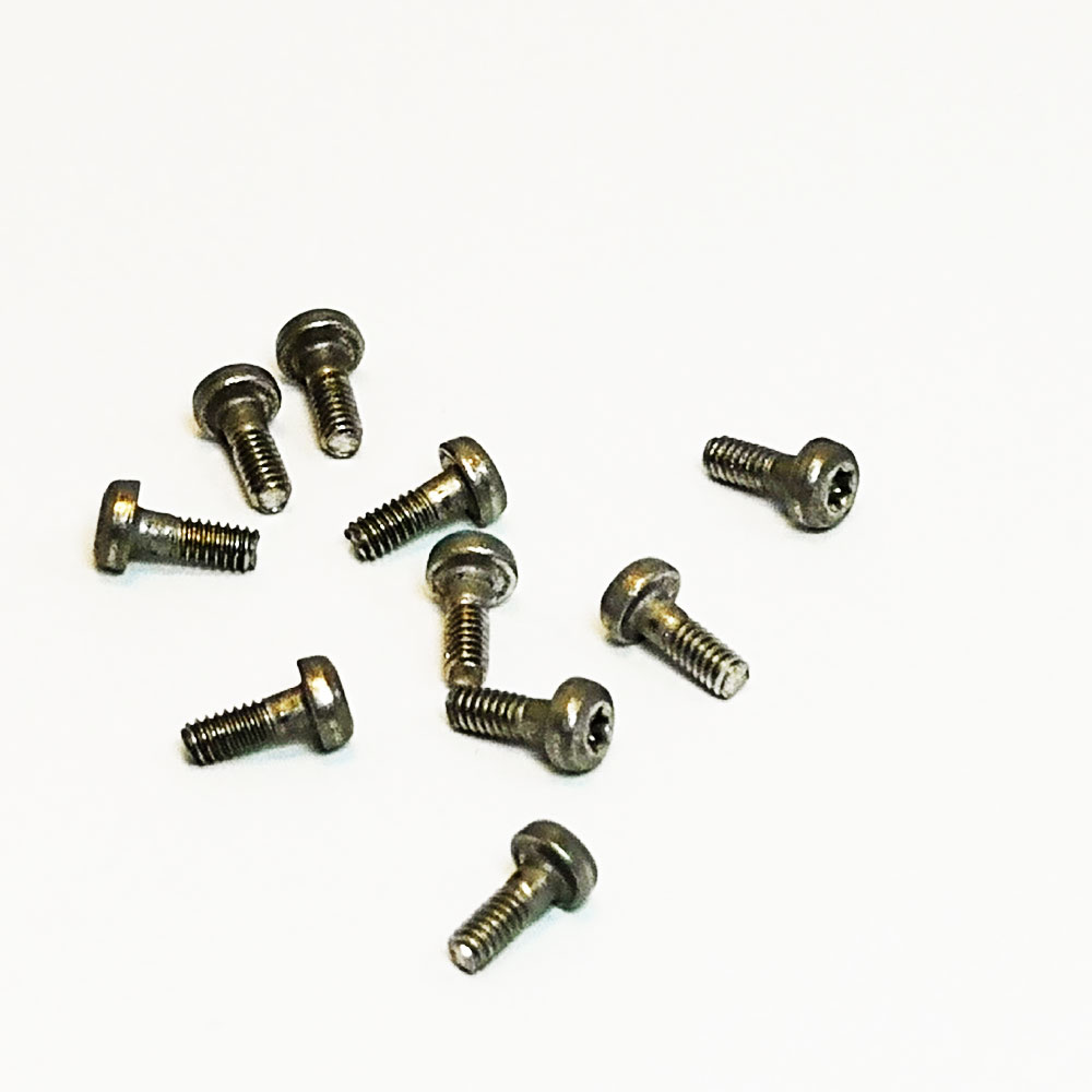 Torx T6 metric screw